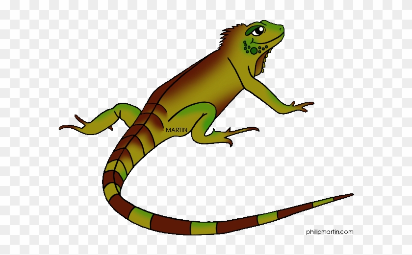 Animals Clip Art By Phillip Martin, Land Iguana - Iguana Clipart #1003695