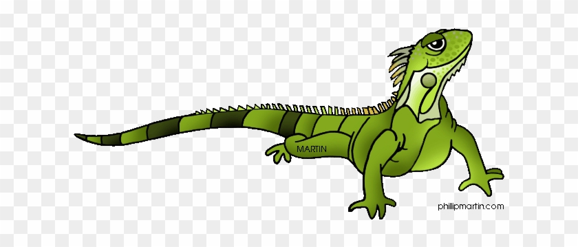 Rainforest Animals Clip Art By Phillip Martin - Clip Art Iguana - Free Transparent PNG Clipart Images Download Rainforest Animals Clip Art By Phillip Martin - Clip Art Iguana - Free Transparent PNG Clipart Images Download