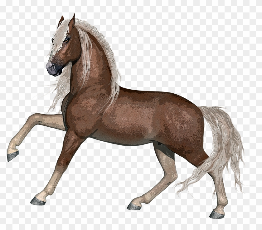 Bronco Horse Pictures 4, Buy Clip Art - Animal Farm Horse #1003975