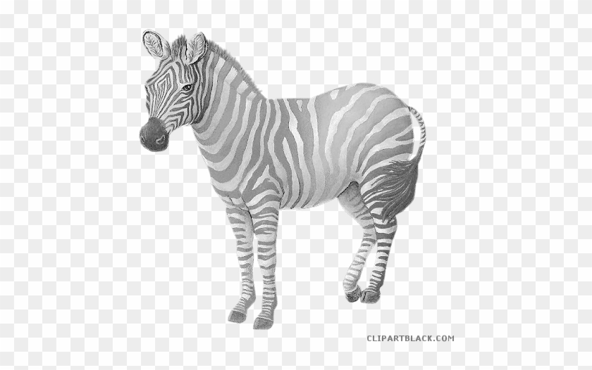 Grayscale Zebra Animal Free Black White Clipart Images - Thanksliving 2pcs Colorful Zebra Pattern Pillowcase #1004057