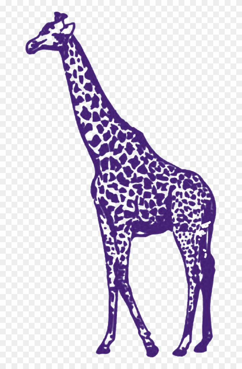 Purple Giraffe - Purple Giraffe #1004240
