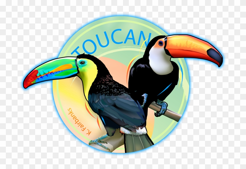 28 Collection Of Toucan Drawing Color - Toucan Drawing With Color #1004356