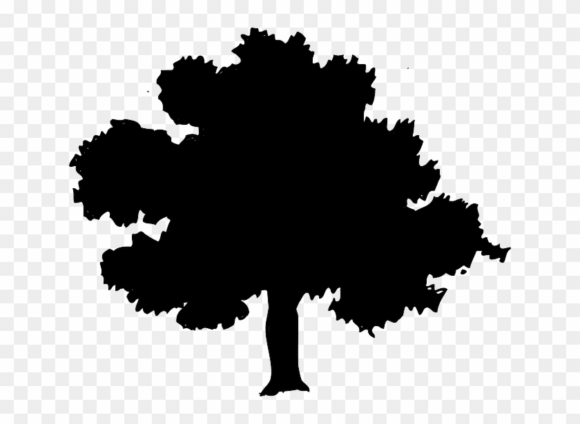 Free Image On Pixabay - Southern Live Oak Tree Clip Art #1004544