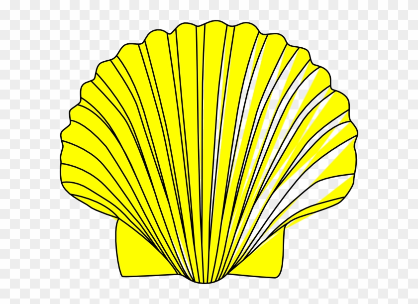 Shell Clip Art At Clker - Outline Of A Shell #1004668