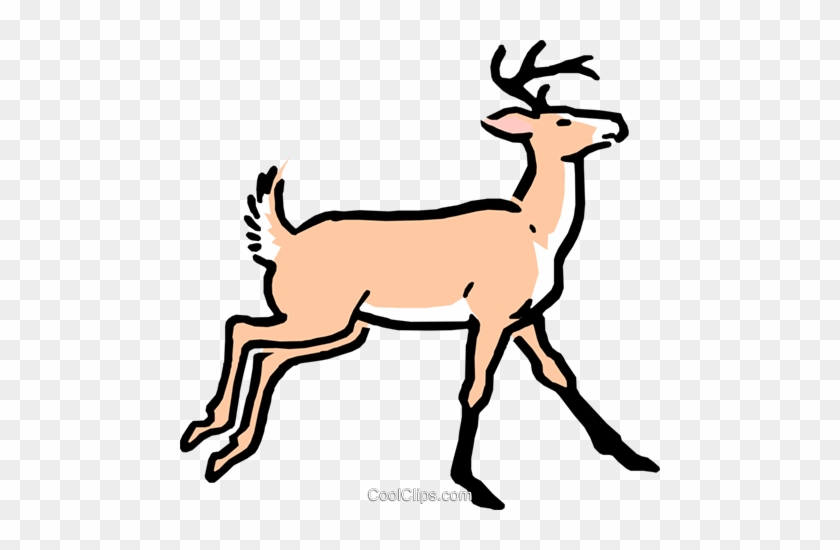 Buck Clipart Caribou - Cartoon Deer #1004795