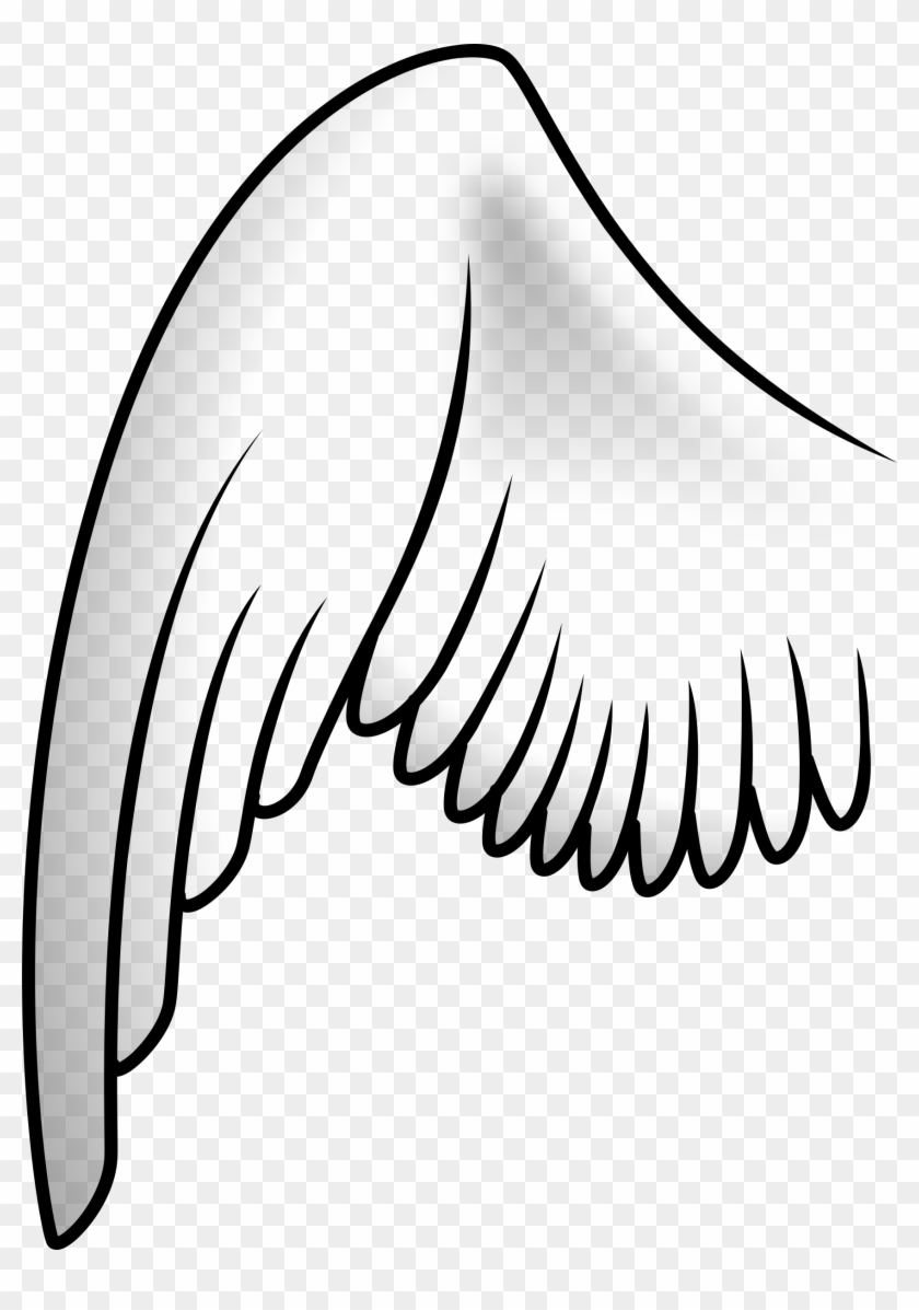 Wings 3 - Wing Clipart #1004935