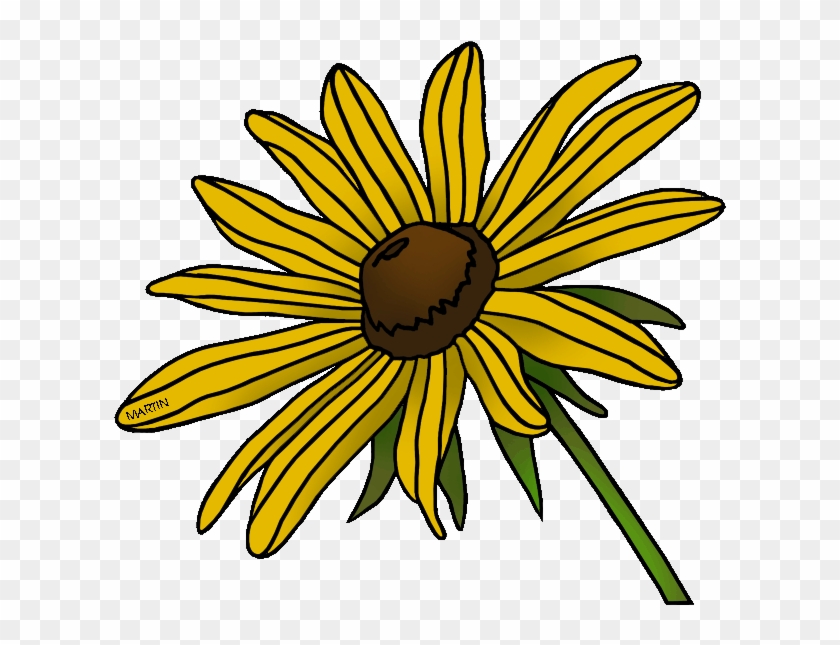 Black Eyed Susan - Black Eyed Susan Clip Art #1005056