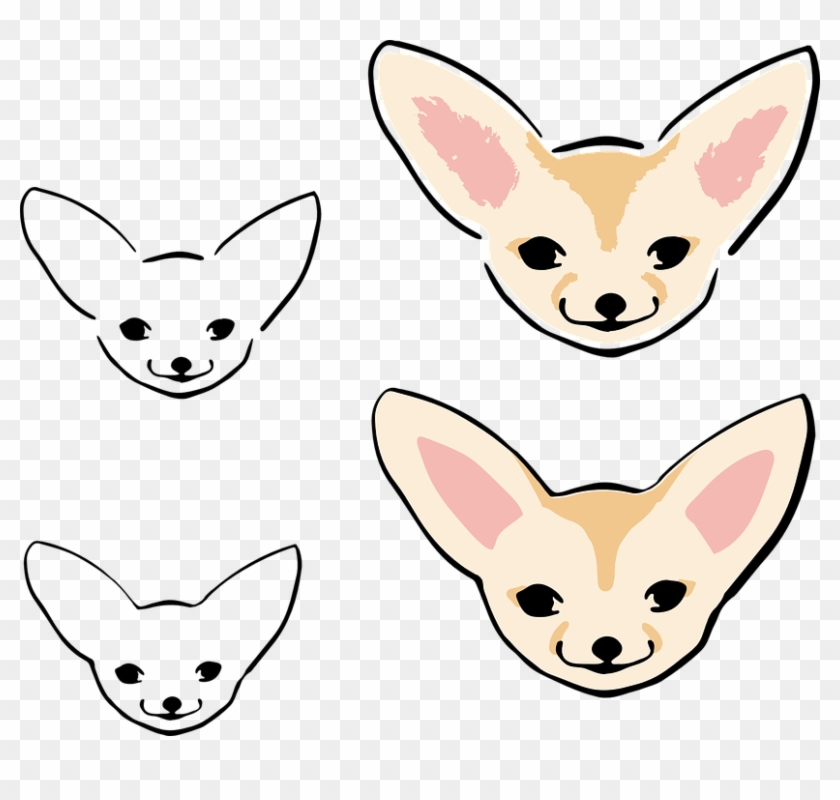 Chihuahua Puppy Red Fox Fennec Fox Clip Art - Fennec Fox Drawing Png #1005070