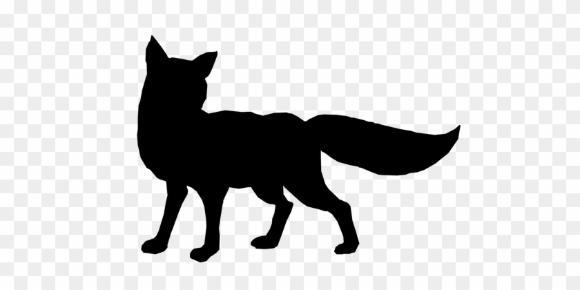 Fox Animal Cunning Wild Wildlife Nature Wi - Fox Silhouette #1005155