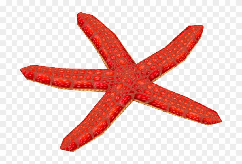 Red Mesh Starfish - Starfish #1005357