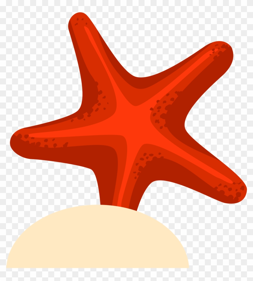 Starfish Drawing Euclidean Vector - Estrela Do Mar Desenho #1005376