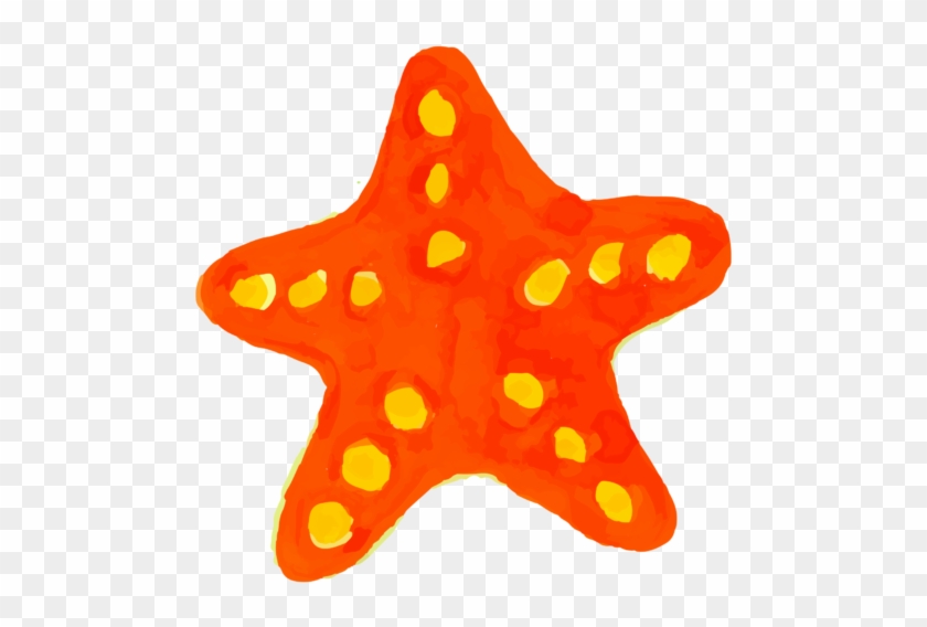 Meta - Starfish #1005378
