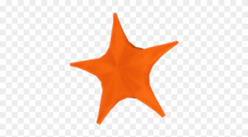 You've Found A Starfish - Starfish #1005385