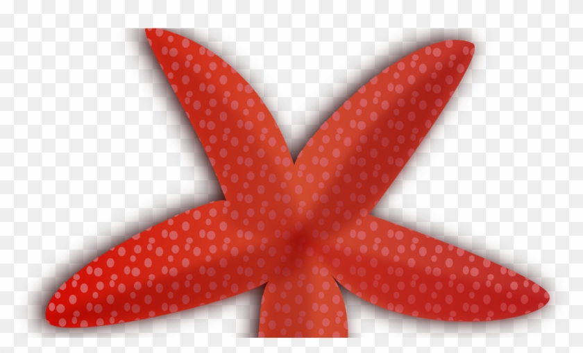 Starfish Cartoon Png #1005402