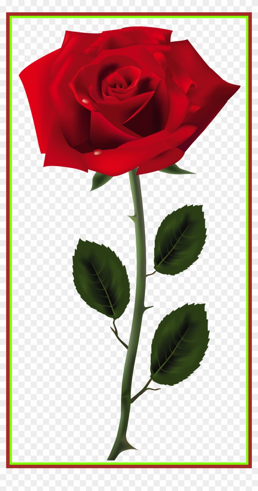 Incredible Red Rose Png Art Picture Colors Shades Of - Red Rose Png Transparent #1005480