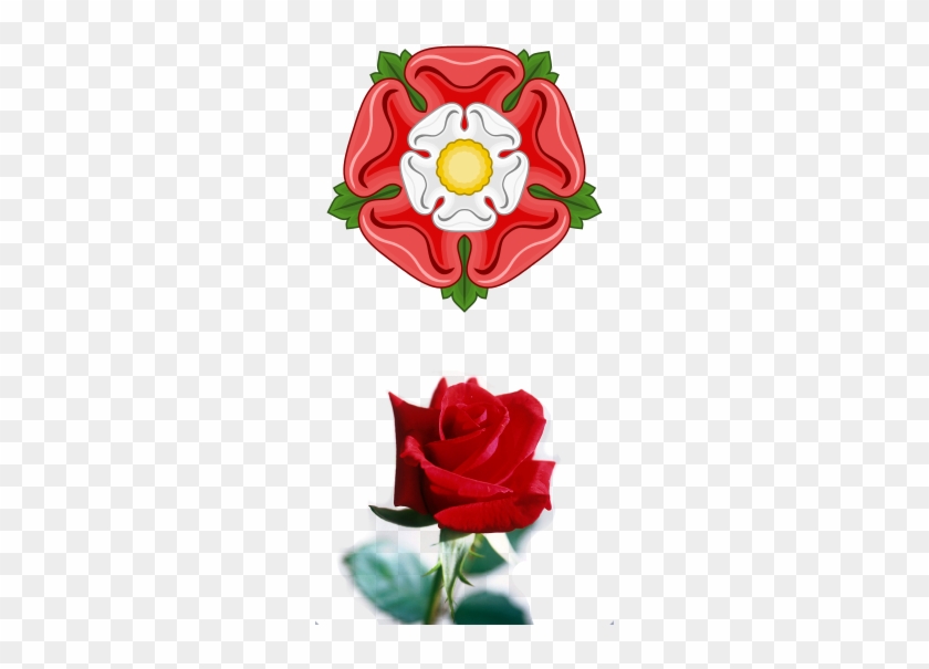 Collection Of Rose Png - Floral Journal Single Red Rose Natural Beauty: (notebook, #1005488