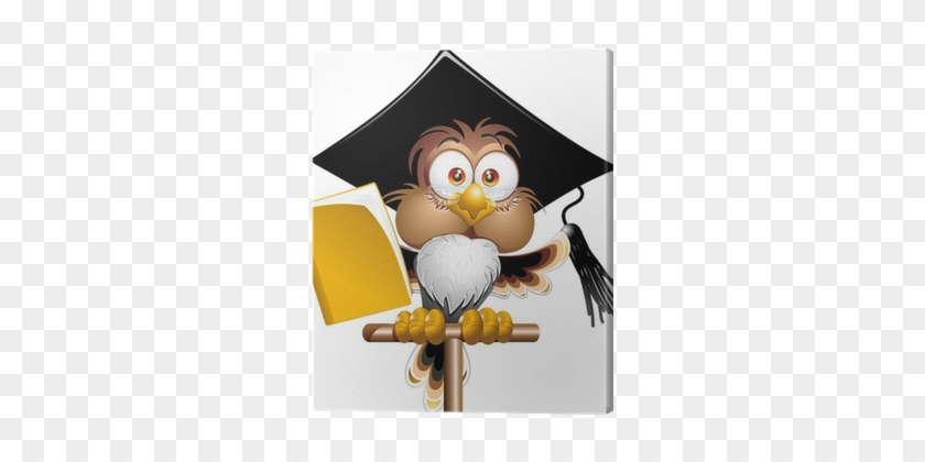 Gufo Professore Cartoon Owl Teacher Cartoon Vector - Teacher Cartoon #1005579