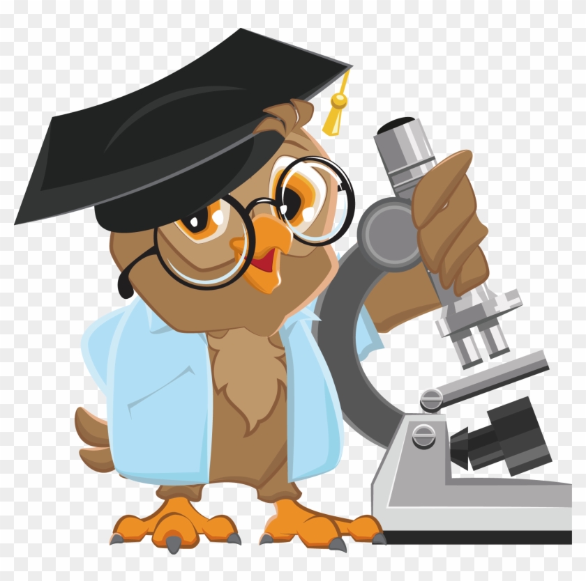 Teacher Little Owl Photography Illustration - Owl Teacher Clipart #1005596