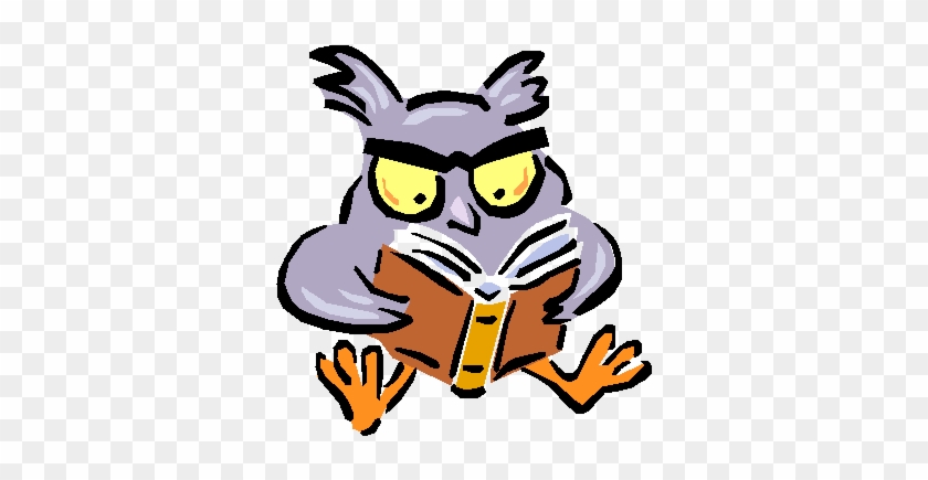 Andrea Garitta Study Owl - Buho Leyendo #1005599