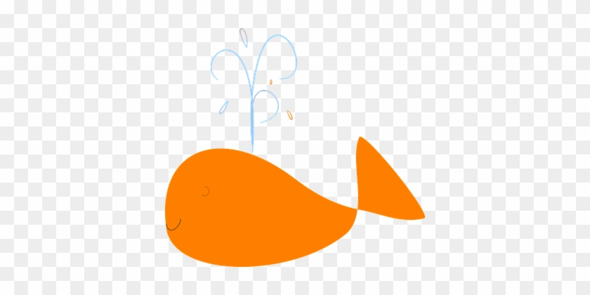 Whale Happy Splash Orange Water Smile Whal - Clip Art #1005625