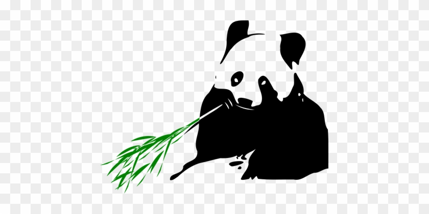 Panda Bears Wildlife Endangered Animal Dra - Panda Bear Eating Bamboo #1005960