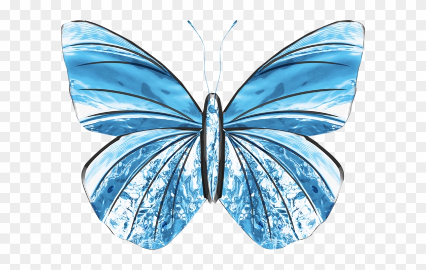 Ice Butterfly Png #1006073