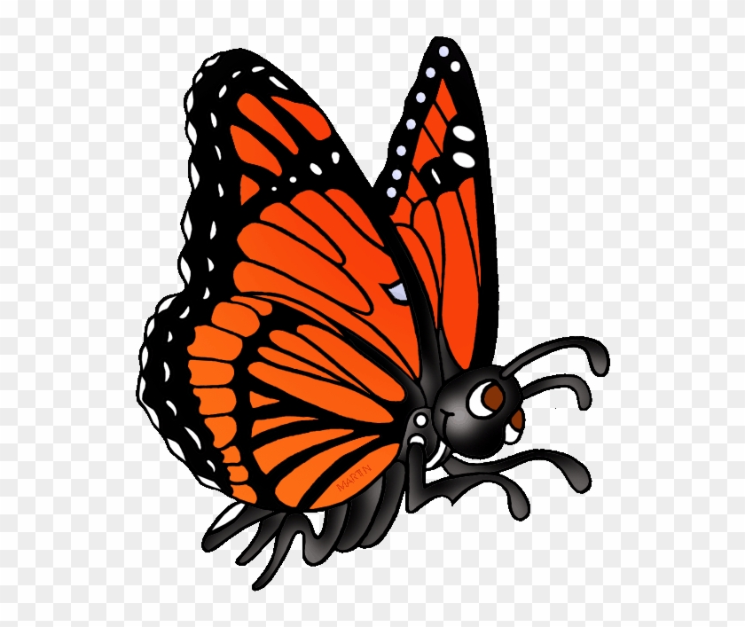Animl Clipart Butterfly - Phillip Martin Clip Art Butterfly #1006102