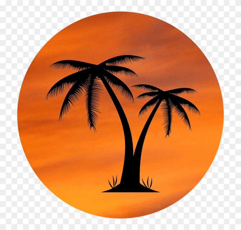 Orange Sky With Palm Tree Locketz Design - Transparent Background Palm Tree Png #1006140