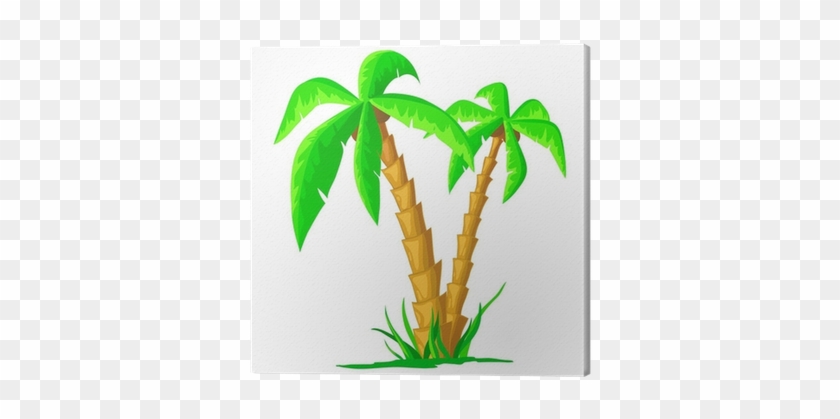 Cartoon Tropical Palm Isolated On White Background - Palm Cartoon #1006177