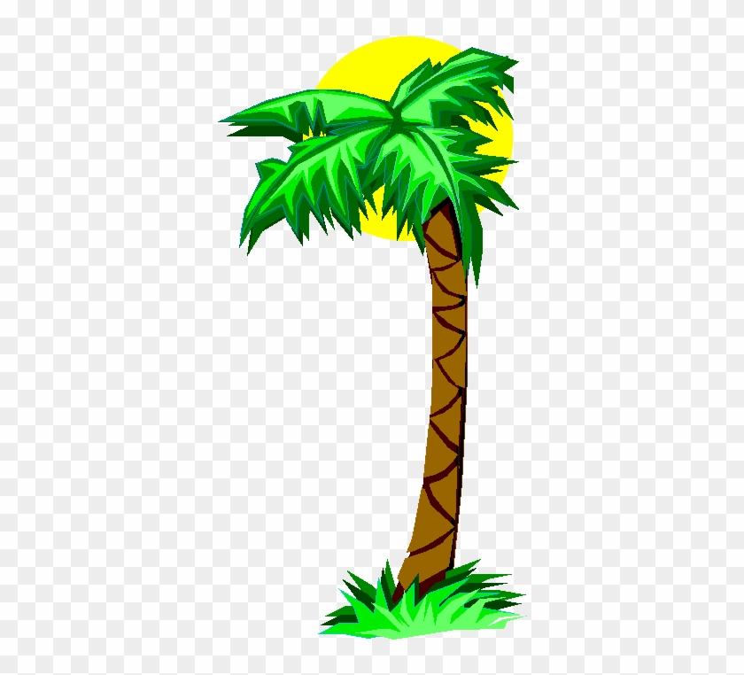 Palm Tree Animated Clipart - Palm Tree Clip Art #1006212