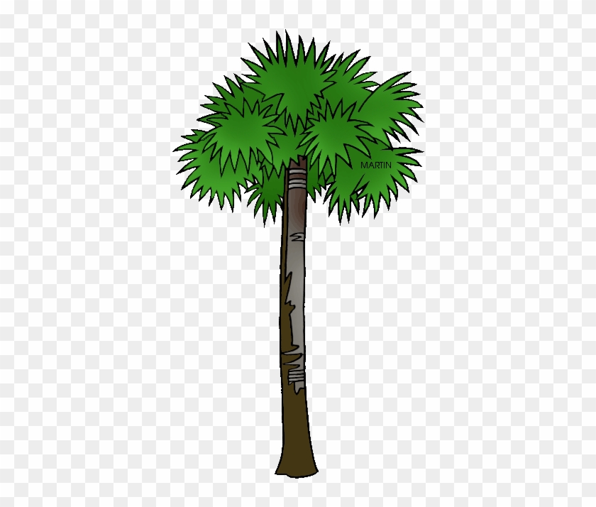 Palm Tree Clipart Sabal - South Carolina State Tree #1006215