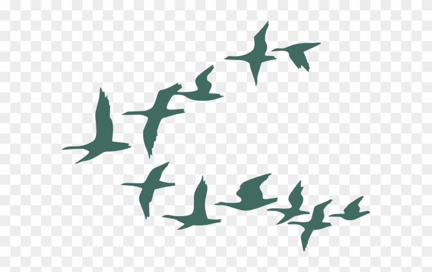 Teal Flock Of Geese Clip Art At Clker - Flock Of Birds Clip Art #1006298