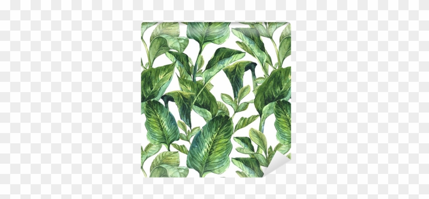 Watercolor Palm Leaves #1006315