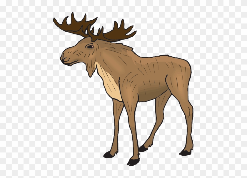 Cricket Clipart Primary Consumer - Elk Clipart #1006462