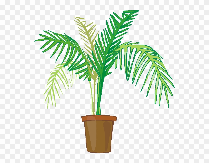 Palm Plant Clip Art #1006468