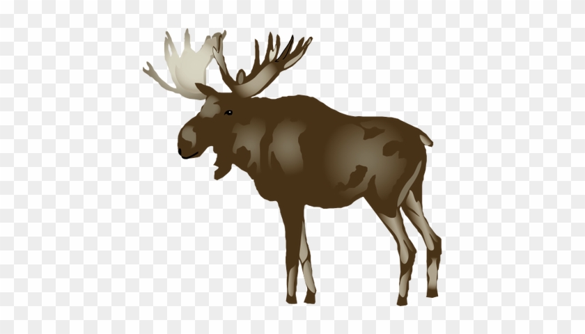 Moose Svg - Reindeer #1006479