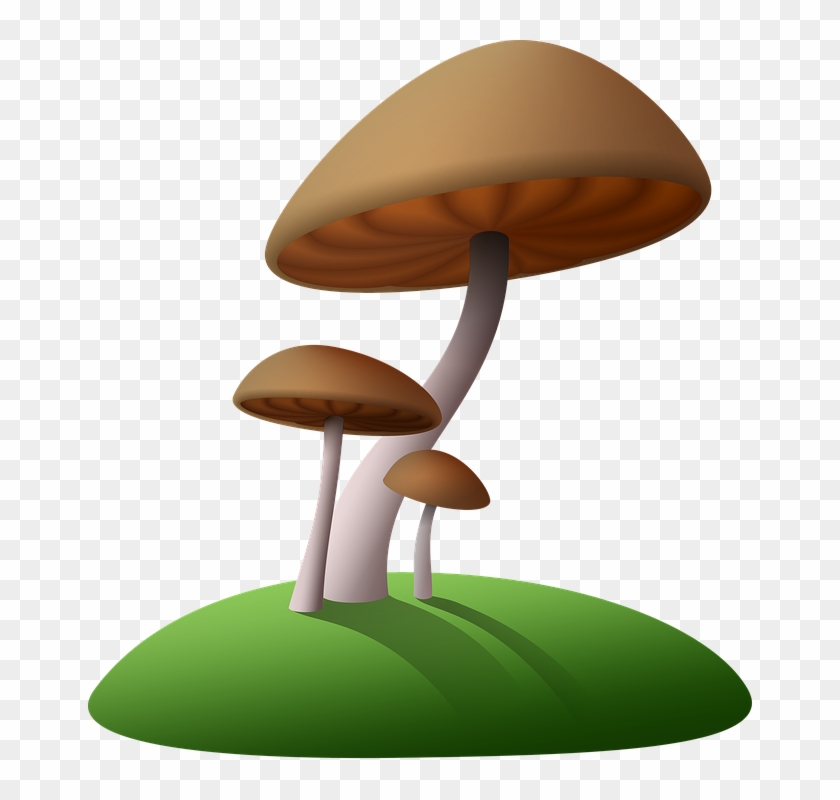Cartoon Islands 9, Buy Clip Art - เห็ด การ์ตูน Png #1006564