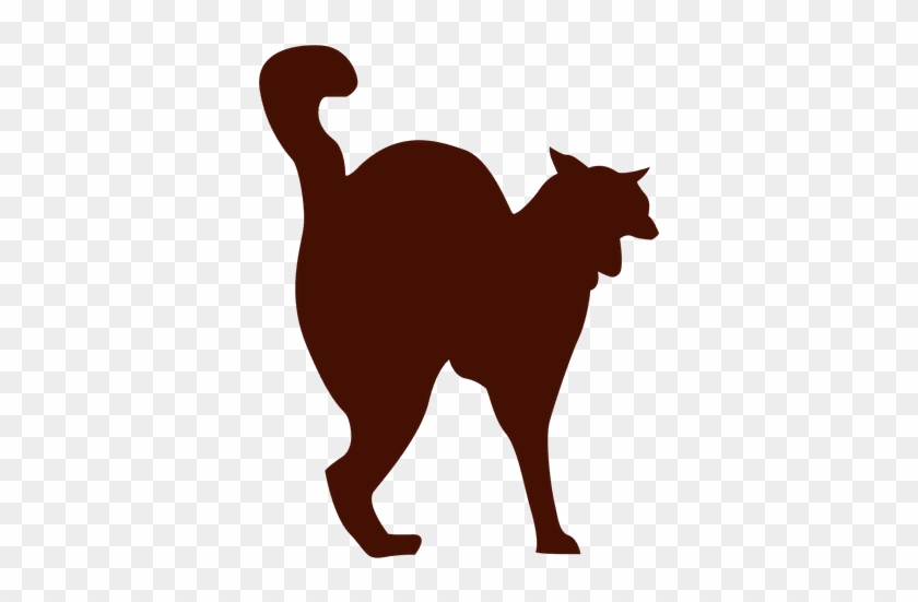 Cat Pet Silhouette Transparent Png - Animal #1006652