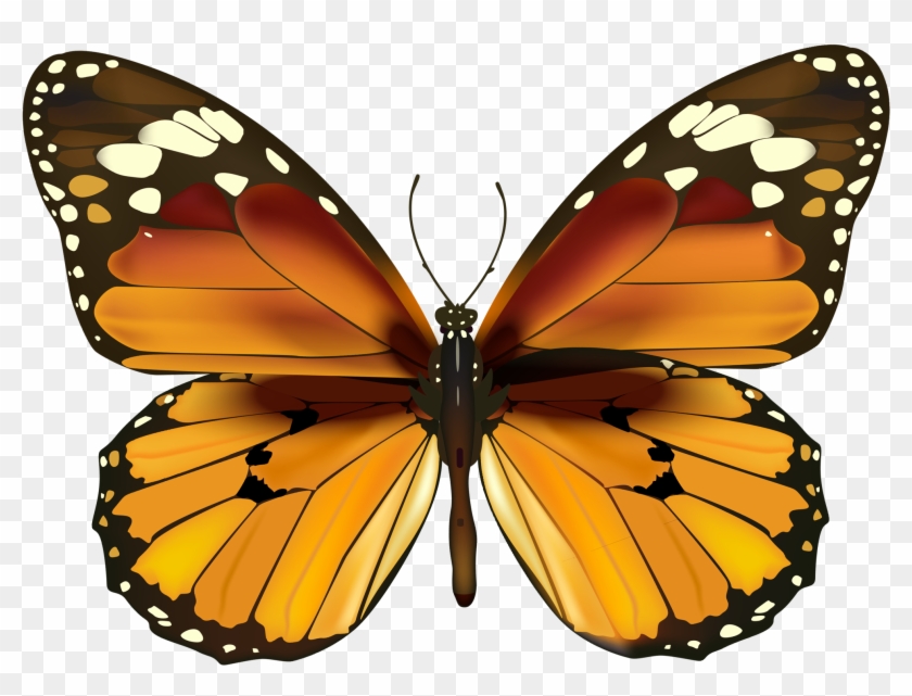 5,998 Monarch Butterfly Stock Vector Illustration And - Borboleta Amarela Png #1006670