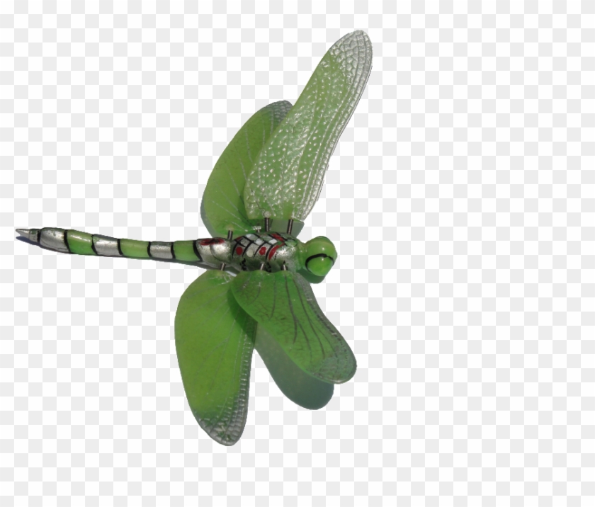 Dragonfly Clipart - Green Dragonfly Clipart #1006683