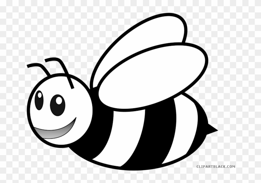 Black And White Bee Clipart Clipartblack Com Rh Clipartblack - Bee Black And White #1006688