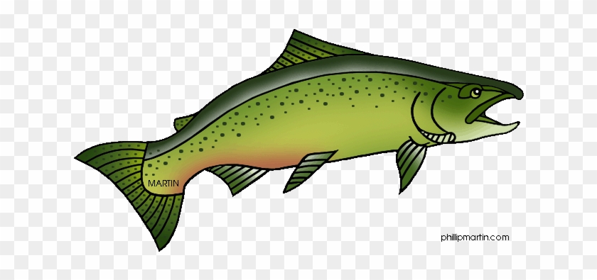 Salmon - Clipart - - Salmon Clipart #1006697