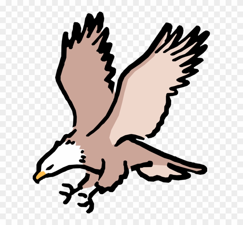 Vector Illustration Of Cartoon American Bald Eagle - Bald Eagle Clip Art -  Free Transparent PNG Clipart Images Download