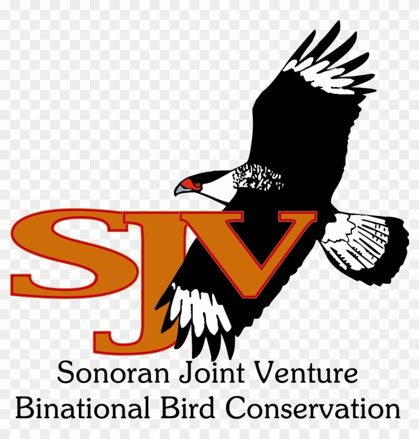 Sjv Logo - Sonoran Joint Venture #1006912