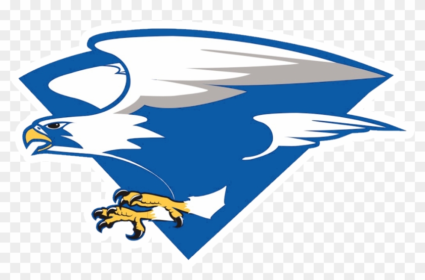 North Forney Falcons - Air Force Falcons Football #1006916