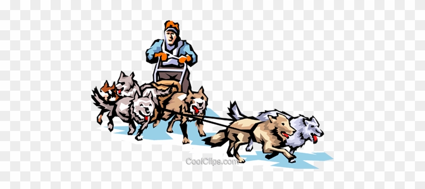 Dog Sledding Royalty Free Vector Clip Art Illustration - Sled Dogs Clip Art #1006979
