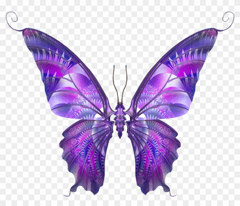 Butterfly Papillon Dog Hemiargus Ceraunus Clip Art - Fibro Butterfly Heart Shower Curtain #1007217