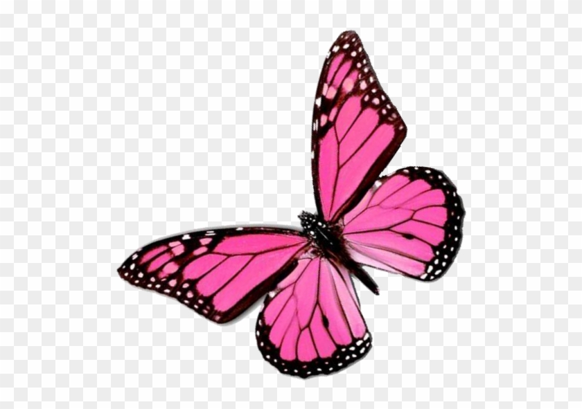 La Mariposa Monarca Color Greta Oto Clip Art - Pink Butterfly Png #1007268