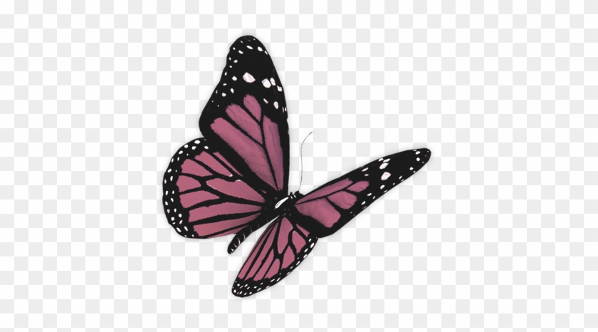 B U T T E R F L Y Png By Xharuhiisuzumiya Monarch Butterfly 3d Free Transparent Png Clipart Images Download - butterfly t shirt roblox