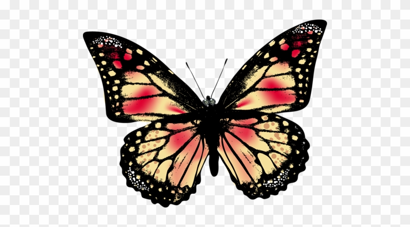 Kelebek Png Resimleri Butterfly Png - Borboleta Realística Bonita Camiseta #1007343
